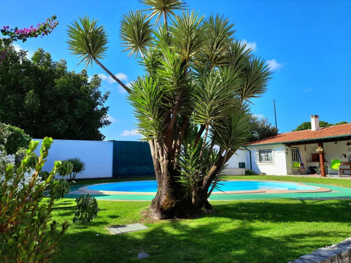 Vila Qm - Quinta Da Morgadinha - Casa Em Quinta Rural Cabecos Exteriér fotografie