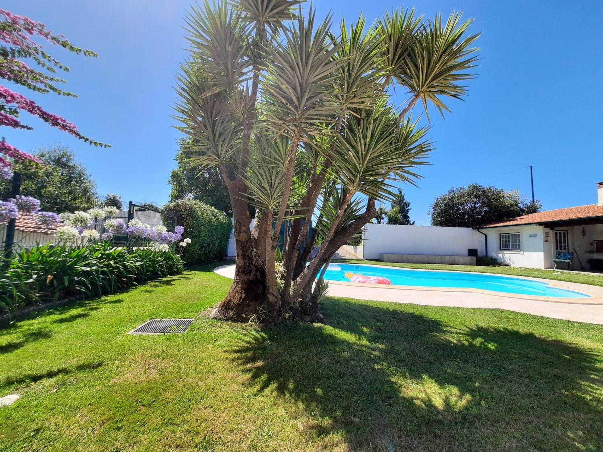 Vila Qm - Quinta Da Morgadinha - Casa Em Quinta Rural Cabecos Exteriér fotografie