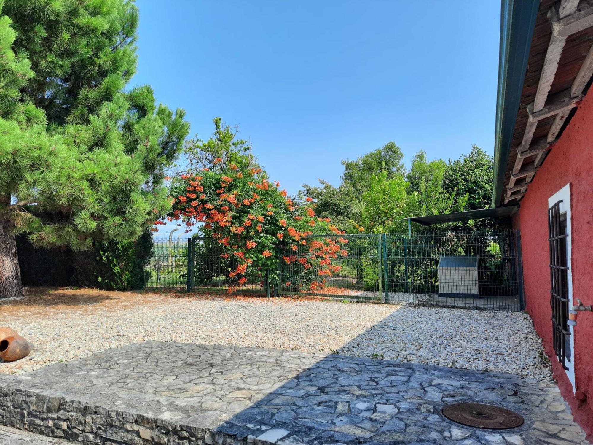 Vila Qm - Quinta Da Morgadinha - Casa Em Quinta Rural Cabecos Exteriér fotografie
